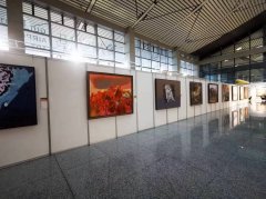 提供贵阳市书画作品展布置,书画艺术展搭建